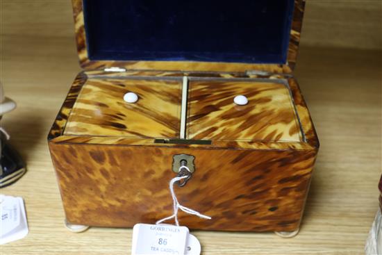 A tortoiseshell tea caddy